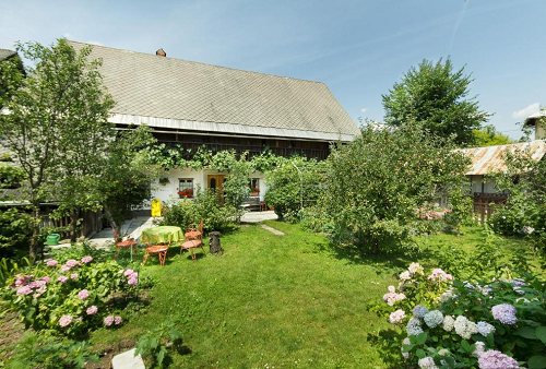 Outdoor & Garden